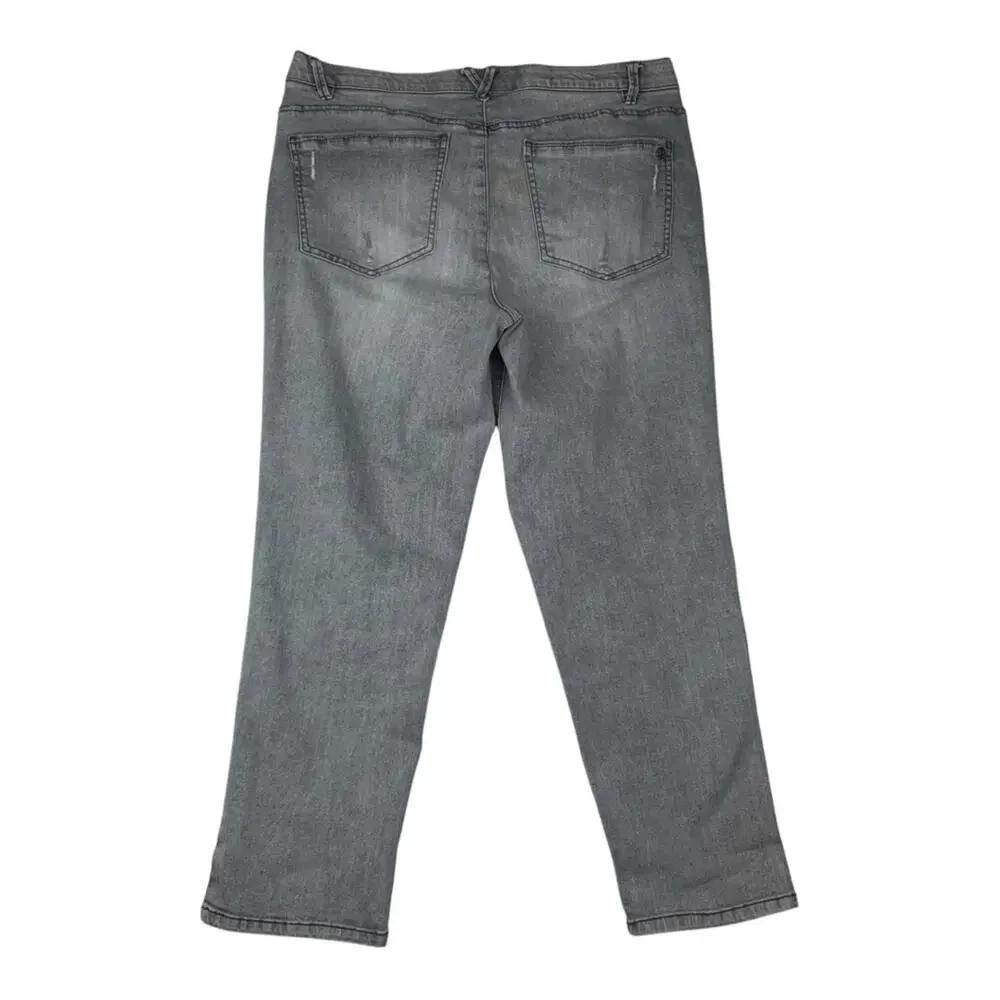 Democracy absolution gray